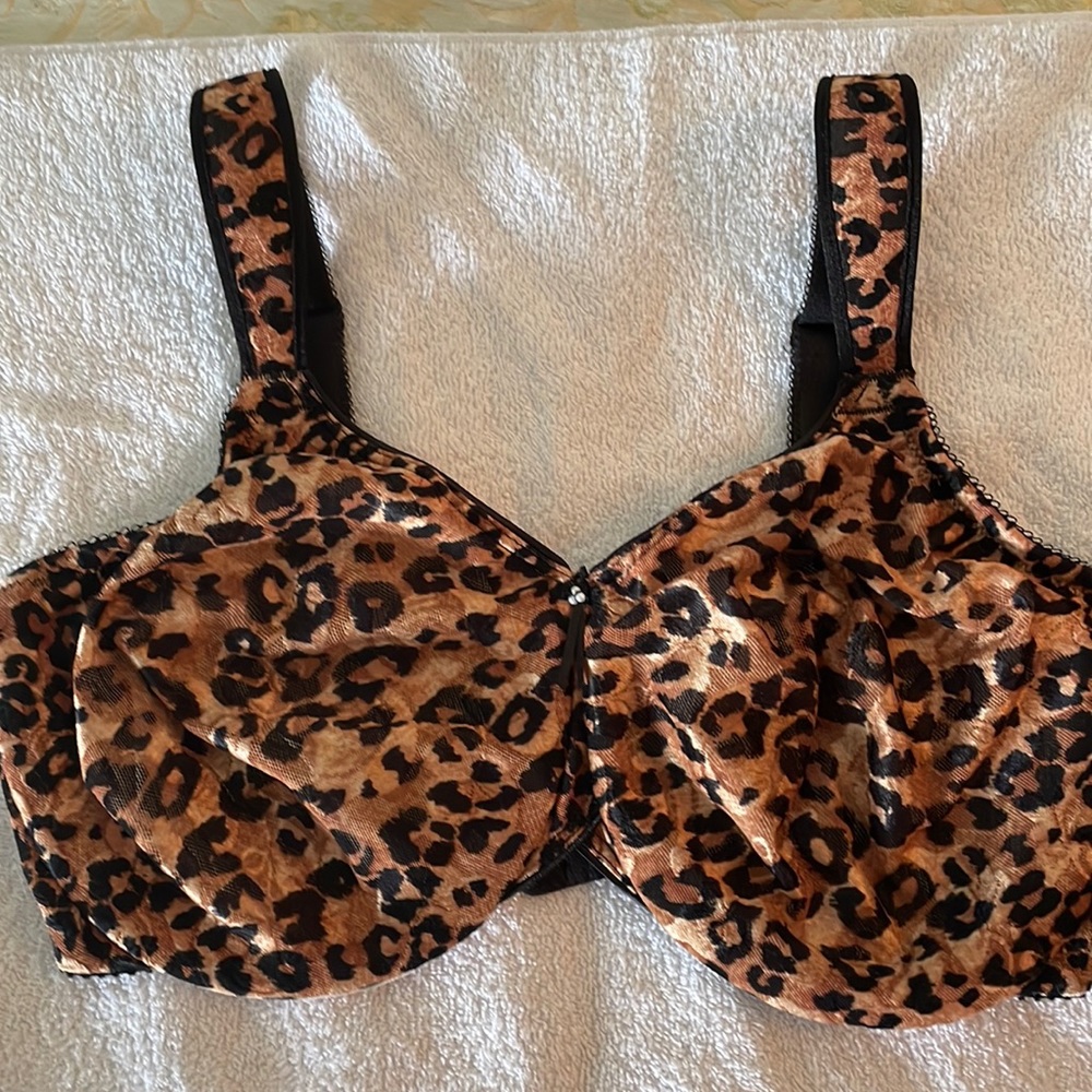 Wacoal Leopard Bra size 36DDD